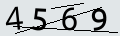 verifycode